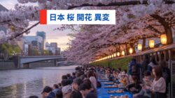 桜が危ない？2026年に起きている異変とは